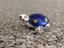 Immagine 2