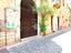 Immagine 16