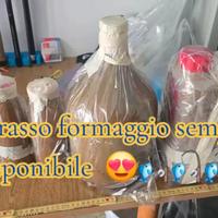 pastura grasso formaggio 