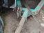 Immagine 6