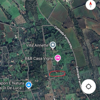 Terreno con rustico e ulivi