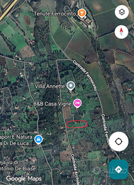 Terreno con rustico e ulivi