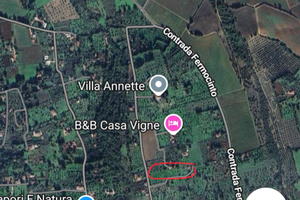 Terreno con rustico e ulivi