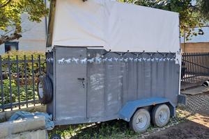 Trailer trasposto cavalli