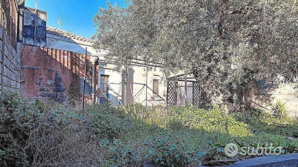 Casa Terrana con Terreno Edificabile Gravina - Vista 4