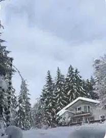 Casa/villetta bifamiliare