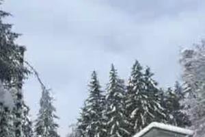 Casa/villetta bifamiliare