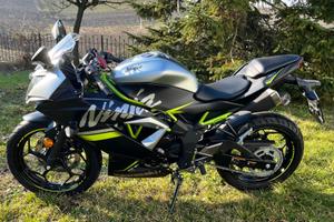 Ninja 125 performance