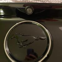 Stemma  posteriore mustang
