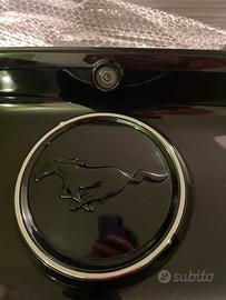 Stemma  posteriore mustang