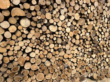 Legna da ardere per caminetto