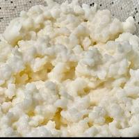 servizio piatti kefir 