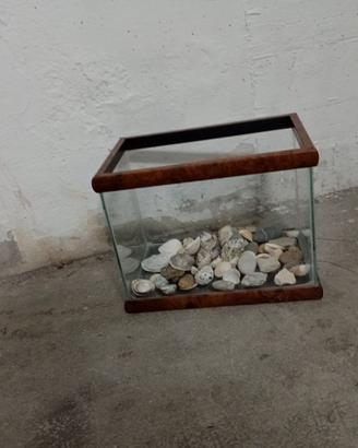 Acquario per i pesci