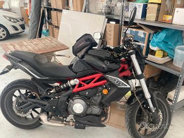 bn 302 senza abs