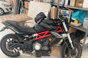 bn 302 senza abs