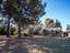Immagine 7