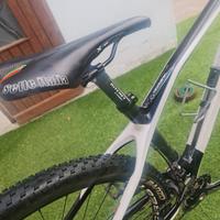 MTB Olympia Iron Twentininer Carbon