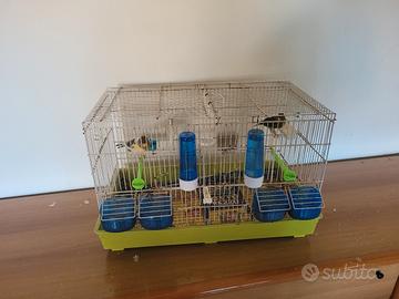gabbia uccelli