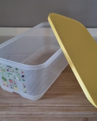 CONTENITORE TUPPERWARE ClimateOasisVentsmart l.6,1