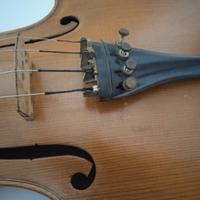 violino