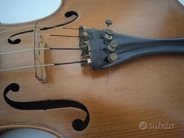 violino