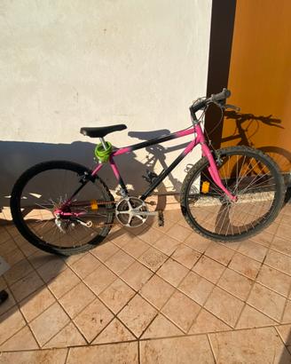 Bicicletta