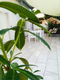 App. c/Giardino arredato indip. 50mt mare