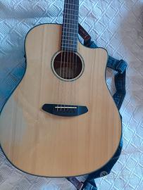 Chitarra Acustica Breedlove