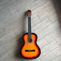 chitarra eko
