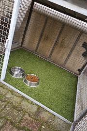 gabbia per cani