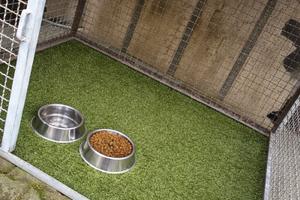 gabbia per cani