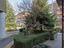 Immagine 24