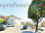 Immagine 10