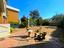 Immagine 25