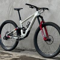 Bicicletta Specialized Enduro Elite Carbon 2020