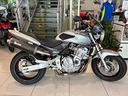 honda-hornet-600