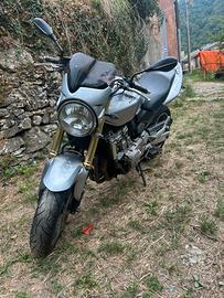 Honda hornet 600
