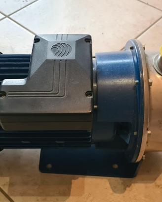 Pompa acque chiare e scure