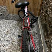 Bicicletta bambino