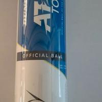 Palline tennis DUNLOP ATP