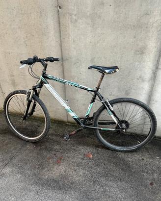 Bici ragazzo