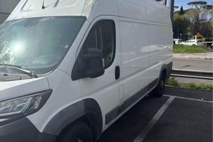 Peugeot boxer, tatto alto passo lungo