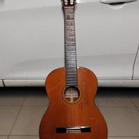 Fender FC30