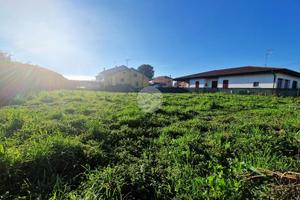 TER. RESIDENZIALE A BAGNOLO SAN VITO