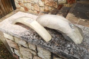 Parafanghi Petty Preston - Baja bianchi