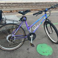 Bicicletta