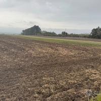 Terreno con pozzo (edificabile)