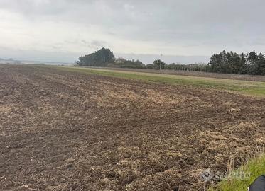 Terreno con pozzo (edificabile)