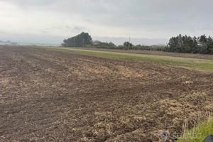 Terreno con pozzo (edificabile)