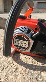 Echo Cs 601